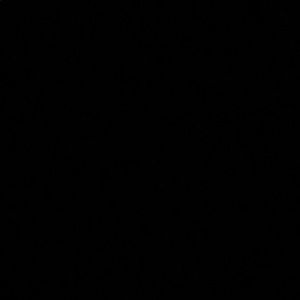 Meet your Posher, Constantino